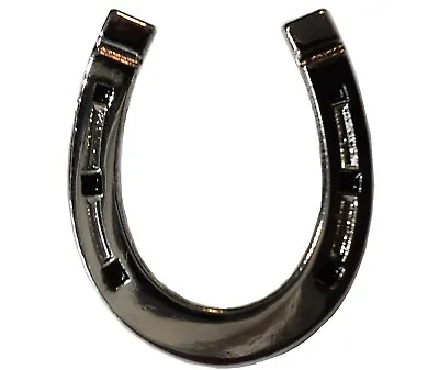 Horseshoe Good Luck & Protection Symbol Horse 21mm Metal Enamel Badge Brooch • £3.79