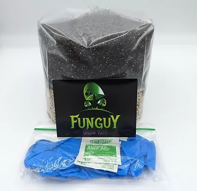 All In One Organic Easy Mushroom Grow Growing Bag Kit Grain & Substrate • $21.95