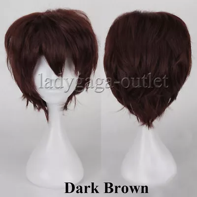 Men Male Boys Short Full Wig Anime Cosplay Costume Party Synthetic Hair Wig Zy48 • $15.58