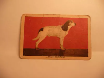 1950 S VINTAGE SERGEANT PRESTON  CHALLENGE OF THE YUKON DOG TOPPS TRADING CARD • $9.99