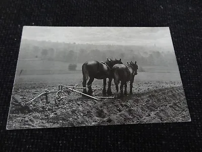 Social History Postcard Horses Ploughing Farming - 82548 • £1.50