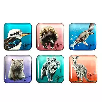 $6.95 • Buy Square AUSTRALIAN ANIMALS Glass Magnets - Chris Riley - Fridge Noticeboard 