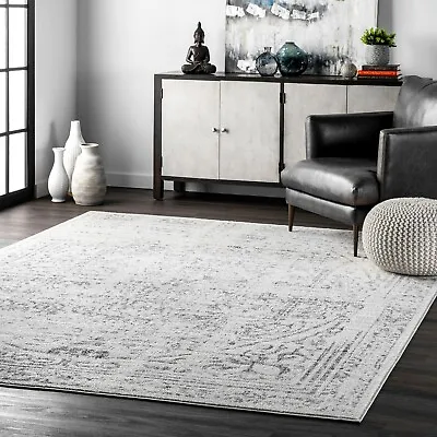 NuLOOM Abstract Traditional Grey Distressed Area Rug • $106.68