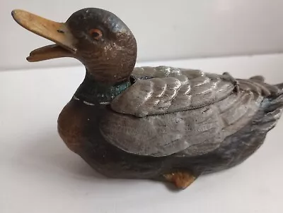 Antique Cold Painted Bronze Duck Bird Sitting Lid Box Austria 12x6x7cm Collector • £125