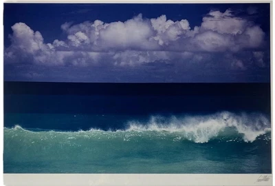 $1499.99 • Buy ERNST HAAS Tobago, 1968