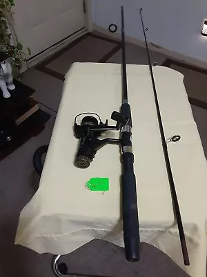 Spinning Fishing Rod Quantum 6'5 10lb Médium Action And Reel • $38