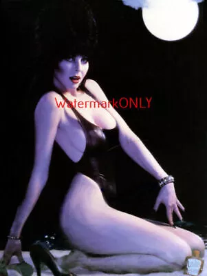 Cassandra Peterson  Elvira   Mistress Of The Dark  SEXY   Pin-Up  PHOTO! #(123) • $9.99