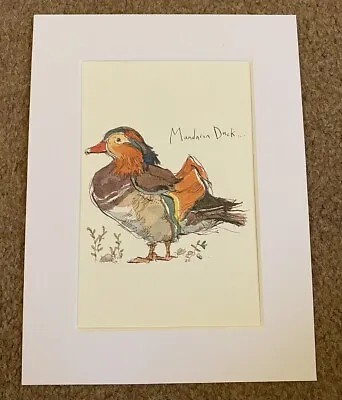 Mandarin Duck Picture Beautiful Mounted Bird Art 6x8 Inch CDG118 • £4.99