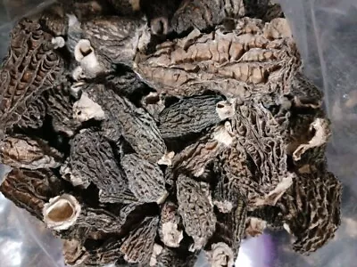 Dried Morel Mushrooms 1 Lb • $100