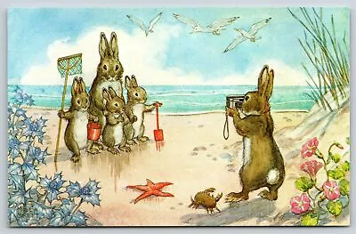 Molly Brett Fantasy~Rabbits @ Beach Getting Picture Taken~Medici Vintage PC • $4.20