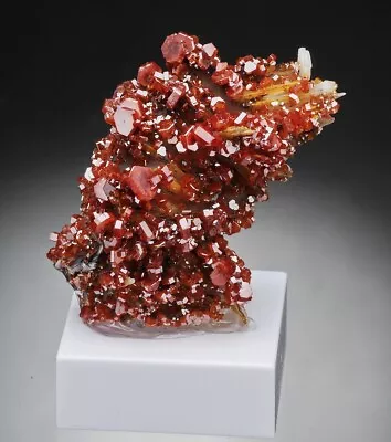 VANADINITE  -  Lustrous BLOOD-RED Crystals - MOROCCO /bn825 • $29.90