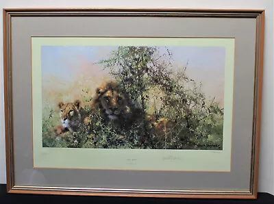 David Shepherd Cool Cats Limited Edition Frame Signed Print 276/850 Lion Lioness • £80