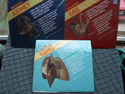 Vintage 1970s - Damon Anamods - ANATOMY MODELS - Human Ear Kidney Lung - Unused • $44.85