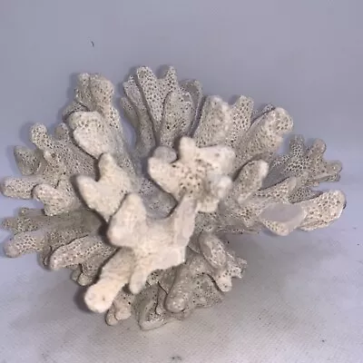 Lot Of 8 Dry Ocean Reef Coral White Real Natural Craft Tank Decor • $3.95