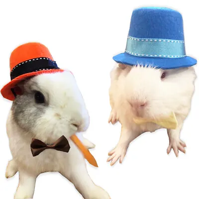 Rabbit Guinea Pig Ferret Costumes Clothes Hat With Bowtie Collar Accessories Toy • $5.99