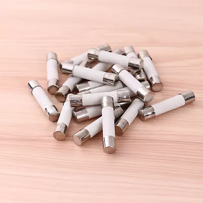 20Pcs 20 Amp Microwave Ceramic Tube Slow Blow Fuses 250V_Universal Compatible • £4.99