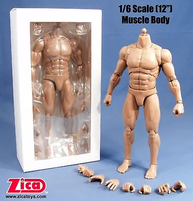 ZICA Toys 1/6 Scale (12') Male Muscle Body • $25