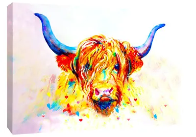 £16.49 • Buy Coloured Highland Cow Box Canvas Wall Art Print Picture - All Sizes Available