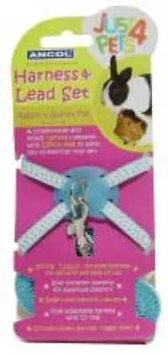 Ancol Soft Polyester Rabbit Harness & Lead Set Polka With Trigger Latch Hook • £6.99