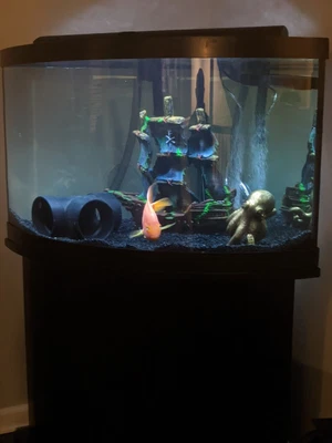 $400 • Buy 54 Gallon Bow Front Corner Fish Tank, Stand, And Supplies Aqueon