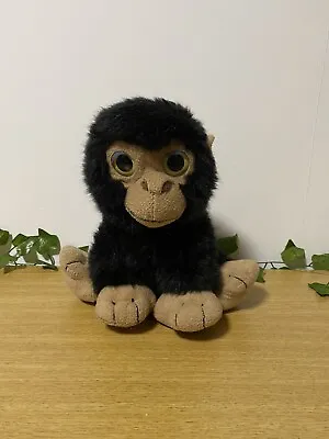 £5.99 • Buy Monkey Teddy Plush From Monkey World Rescue Centre Black Glitter Eyes Soft Toy