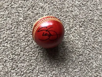 $60 • Buy Shane Watson Signed Cricket Ball Australian Test Captain NSW Sydney Thunder BBL