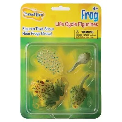 £5.50 • Buy FROG LIFECYCLE Topic Learning  - Resource Spawn Tadpole Froglet And Frog NEW