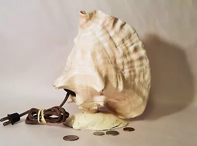 1950s SEASIDE OREGON Vtg Seashell TV Lamp Souvenir Beach Hawaiian Art Sculpture • $125