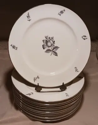 12 Vita Craft Midnight Rose 10 5/8  Dinner Plates Gray Center Rose Platinum EUC • $29.95