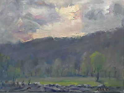 Original Art Oil Painting Twilight Trees Clouds Mountains Hudson Valley 11 X14 • $49.59