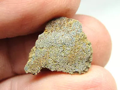 NWA 7401 Enstatite EL-melt Chondrite Meteorite - G244-0300 - 0.93g COA - End Cut • $0.99