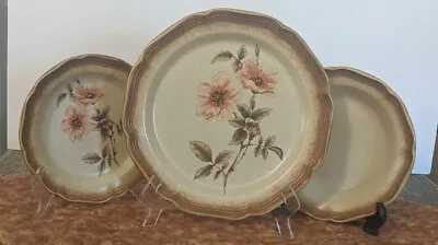 Mikasa Stoneware 3 Dinner Plates 11  Bowls 8.5   Dessert Plates 8  🌹 Duet 8015 • $30