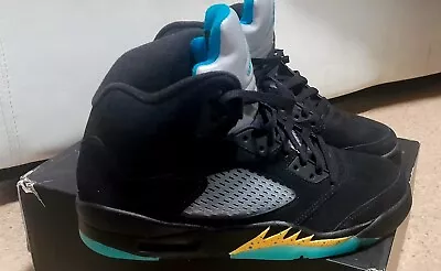 BNIB Nike Air  Jordan 5 Retro Pre-Grape • $250