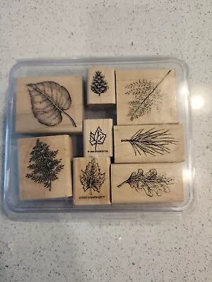 8 Stamp Lot Leaf Leaves Stampin Up Rubber Pine Cone Maple Leaf Pine Tree Sprig • $14.89