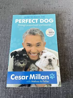 Cesar Millan Dog Behaviour Book “How To Raise The Perfect Dog” • £1.99