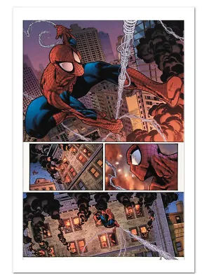 The Amazing Spider-Man #596 Canvas Giclee Art Paolo Siqueira Marvel Artworks • $89.95