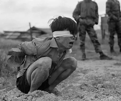 Viet Cong Prisoner Awaits Interrogation 8 X 10  Vietnam War Photo Picture 134 • $7.43