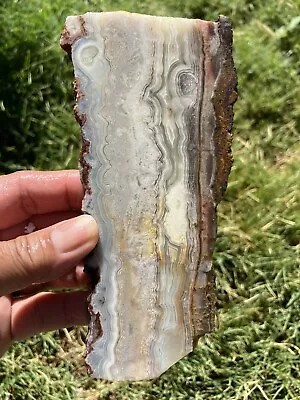 Crazy Lace Agate Slab (Mexico) • $12