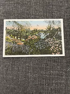 Vintage Linen Postcard Miami Florida ~ Among The Flowers In Florida Along Lake • $0.90