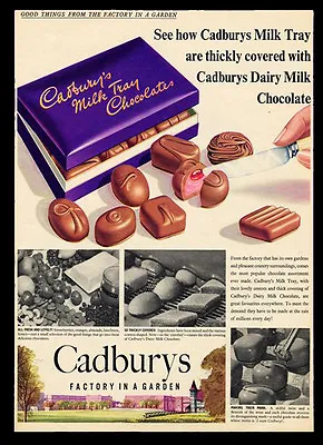 A3 - Retro Wall POSTER Print Art - CADBURYS MILK CHOCOLATE ADVERT 1950S - #1 • £4.77