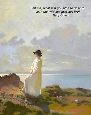 Irish Art Postcard: Orpen - Woman In White Mary Oliver Wild & Precious Life • $2.20