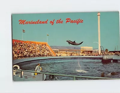 Postcard Marineland Of The Pacific Marineland California • $6.99