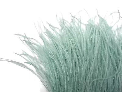 6 Inch Strip - Sage Green Ostrich Fringe Trim Feather Craft Sample DIY Millinery • $7.73