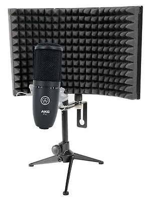 AKG P120 Studio Condenser Recording/Live Streaming Microphone + Mic Vocal Shield • $111