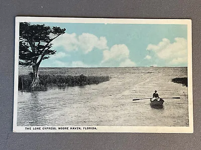 Florida FL Moore Haven The Lone Cypress Man In Row Boat Ca 1920 • $6.99