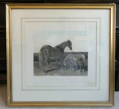 Fores's Series Of The Motghers After Herring Hack Mare And A Foal Engraving • £35