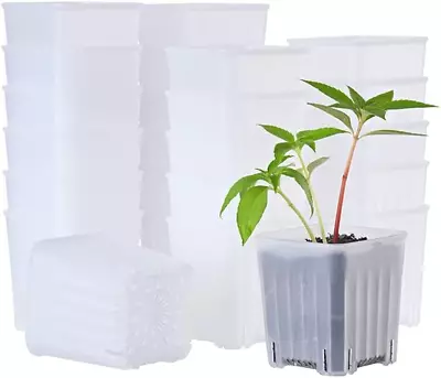 24 Pack 3.10 Inch Small Tranucent Plastic Square Nursery And Seedling Pot Contai • $18.74