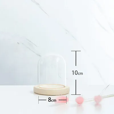 £9.21 • Buy Glass Dome Display Bell Jar Cloche Wood Base For Figure Action DIY Doll Storage