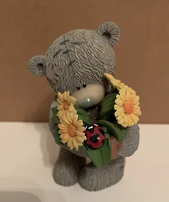 £17.99 • Buy Me To You Bear Love Bug Flowers Ladybird Flowerpot Figure Figurine Ornament 9cm