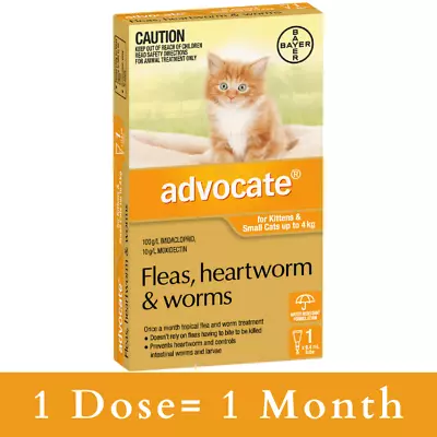 Advocate For Kittens And Small Cats Up To 4kg (Orange) - Fleas Heartworm & Worm • $79.95